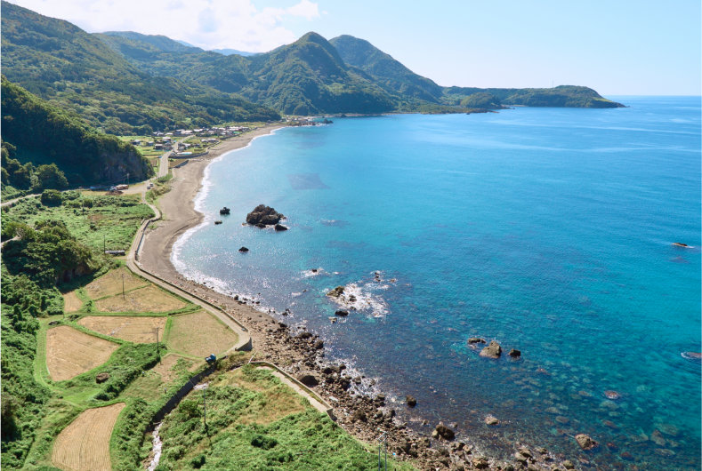 親子で楽しむ　島の体験プラン