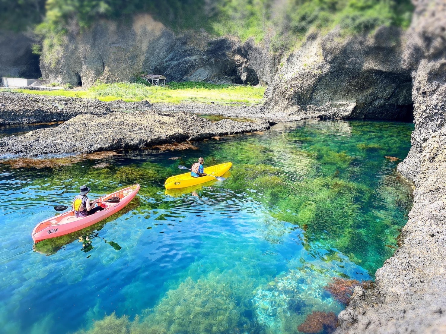キャッチコピー